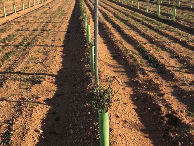 Entubado pozos Ciudad Real Entubado pozos Ciudad Real